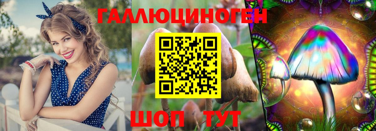 Галлюциногенные грибы мухоморы Крымск